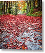 Nature's Red Carpet Metal Print