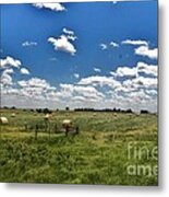 Nebraska Hay Baling Metal Print