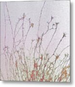 Nerve Cell Culture Metal Print