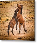 Nevada Wild Horses 3890 Metal Print