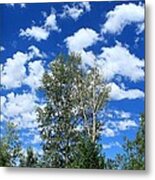 New Mexico Blue Sky White Clouds And Birch Trees Metal Print