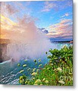 Niagara Falls Wildflowers At Sunrise Metal Print