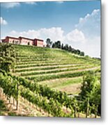 Nice Vineyard Landscape In North Of Metal Print