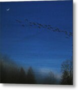 Night Escape Metal Print