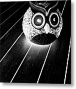 Night Owl Metal Print