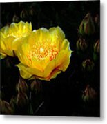 Nightlights Metal Print