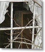 No Peeking Says The Thorns Metal Print