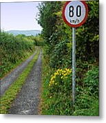 No Speeding Metal Print