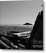 Noble Remnants Metal Print