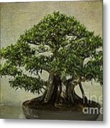 Noble Stand Metal Print