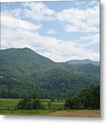 North Carolina Scenery 2 Metal Print