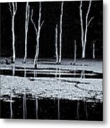 North Pond Twilight Metal Print