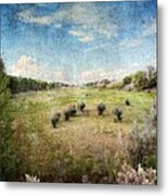 North Valley Metal Print