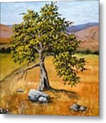 Oak Tree Metal Print