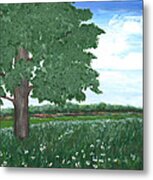 Oak Tree In Summer Meadow Metal Print