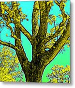 Oaks 3 Metal Print