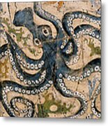 Octopus - Study No. 2 Metal Print