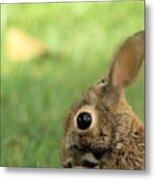 Oh My Easter Is Almost Here Metal Print