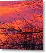 Oh What A Beautiful Morning Metal Print