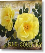 Old Country Roses Metal Print