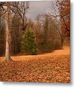 Old Davidson Oaks Metal Print