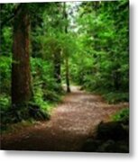 Old Welsh Country Forest Metal Print