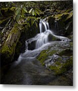On The Boone Fork Trail Metal Print