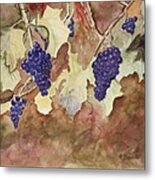 On The Vine Metal Print