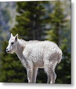 On Top Of The World Metal Print