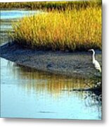 One With Nature Metal Print