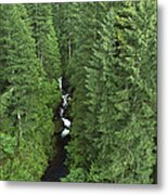 Oneonta Creek In Columbia Gorge  Oregon Metal Print