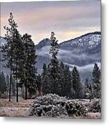 Only A Little Snow Metal Print