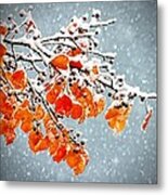 Orange Autumn Leaves In Snow Metal Print