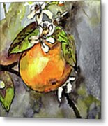 Orange Blossom Botanical Watercolor And Ink By Ginette Metal Print