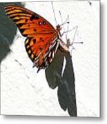 Orange Butterfly Metal Print
