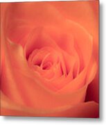 Orange Delight Metal Print