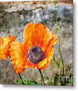 Orange Poppy Metal Print