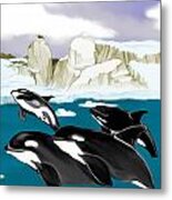 Orcas Metal Print