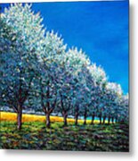 Orchard Row Metal Print