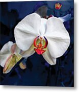 Exotic Orchid 25 Metal Print