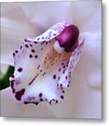 Orchid Heart. Metal Print