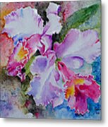 Orchids Metal Print