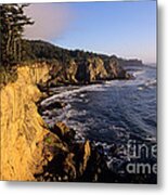 Oregon Coast Metal Print