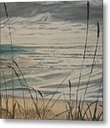 Oregon Coast With Sea Grass Metal Print