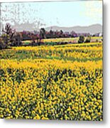 Original Fine Art Digital Fields Yellow Flowers Maryland Metal Print