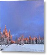 Other Side Of A Winter Sunset Metal Print