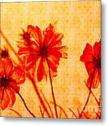Otherworldly Cosmos Flowers In Orange And Yellow Metal Print