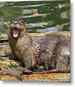 Otter Yawn Metal Print