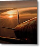 Out Of The Flight Metal Print