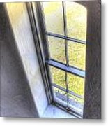 Out The Window Metal Print
